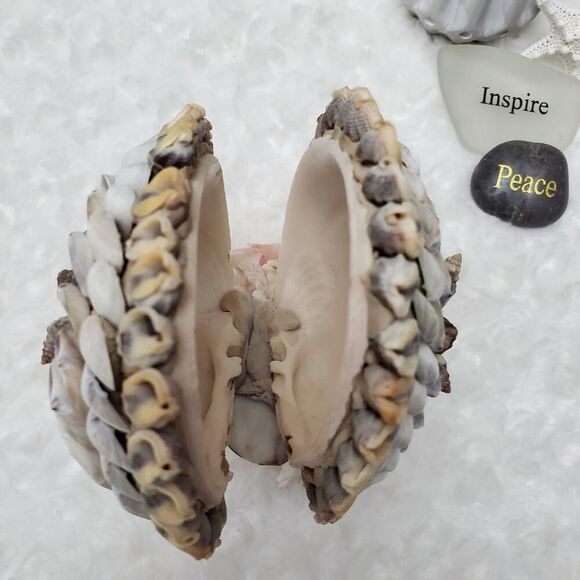 Vintage 1950 Handmade Seashell Napkin Holder - Picture 8 of 8